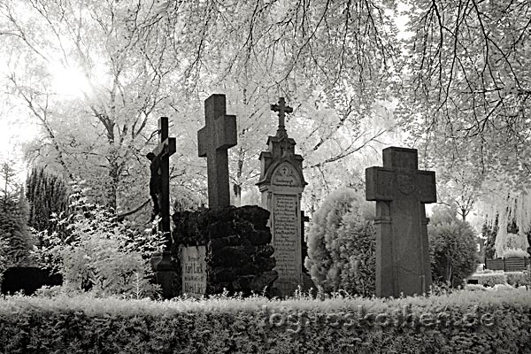Friedhof - eine düstere Angelegenheit