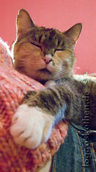 Murmel ist zufrieden