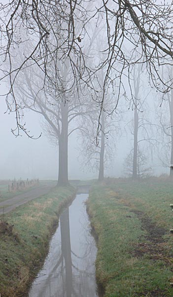Nebel bei Oedt