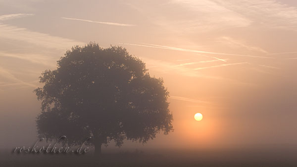 Sonnenaufgang im Herbst am Niederrhein