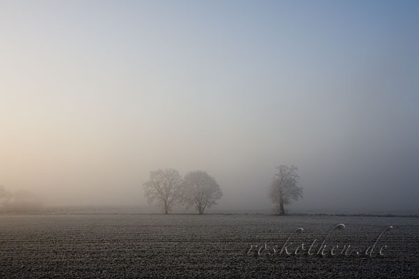 Wintermärchen am Niederrhein