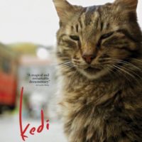 Kedi – Katzenfilm für Katzenfans – Geschenk für Katzenliebhaber