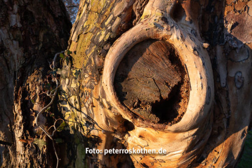 Weihnachten im Park Grefrath